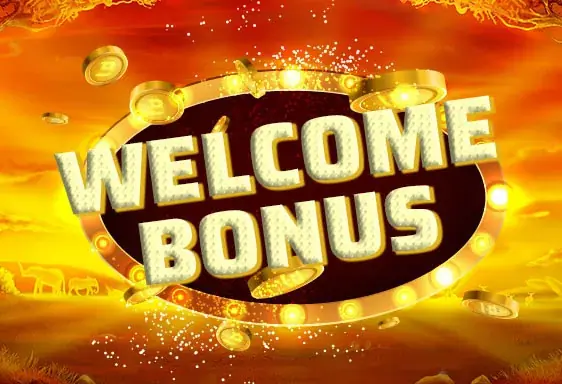 Guide bonus de bienvenue Happy Hugo
